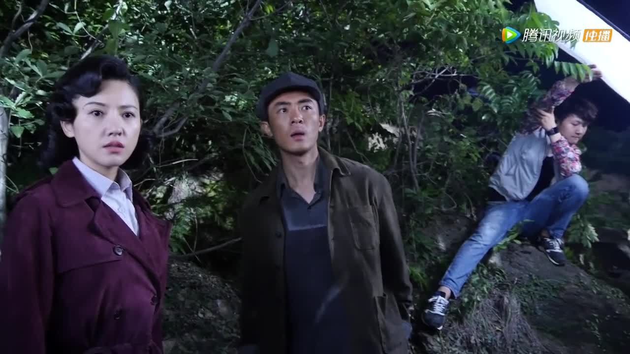 红蔷薇
