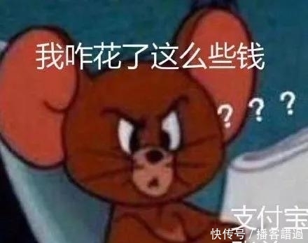 支付宝总支出账单哪里看