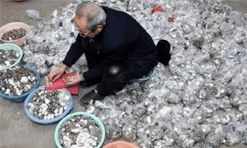 老爷爷去银行换钱,当看到用车拉来的现金时,工