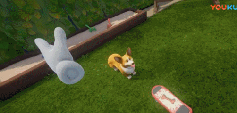 vr gif:亲妈被佛系青蛙逼哭 让vr世界的魔法系动物拯救你!