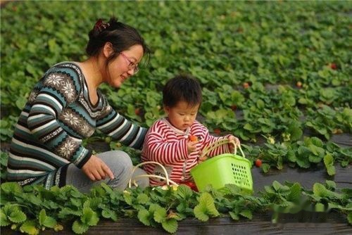 辽宁盘锦最佳旅游攻略
