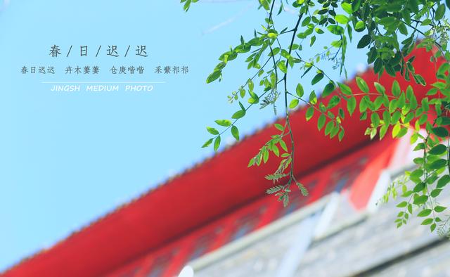 公司纠纷裁判案例之股权回购