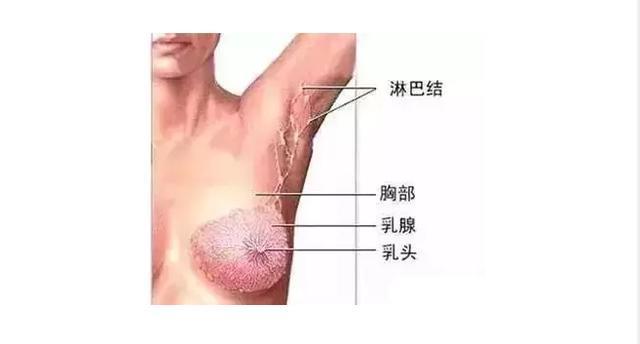 预防淋巴积毒,疏通这3个部位很重要,3种手法1