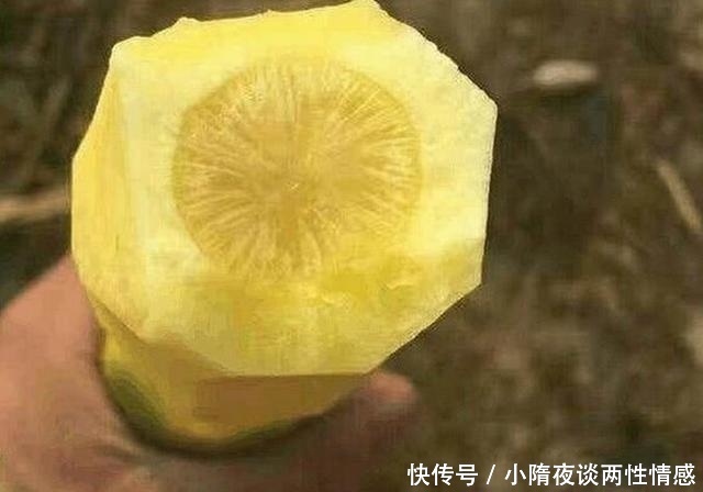 这美食又是蔬菜又是水果,生长在农村价格不便宜,营养价值很高!