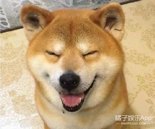 你们的表情包,还有曾经的qq头像一定都用过它吧!