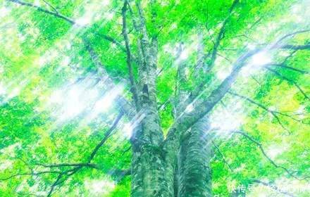 做 人 , 少 玩 心 眼!