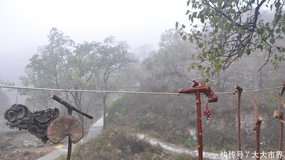 初冬随户外穿越焦作太行驸马谷--浓雾笼罩下的