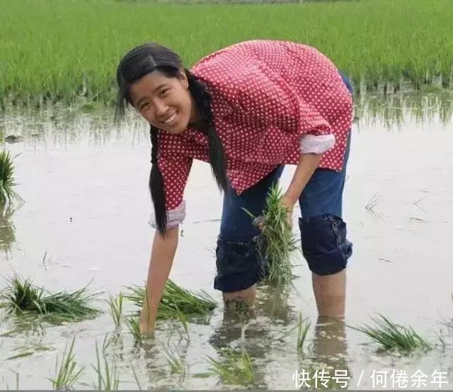 乡村纪事带着傻儿子,住在娘家的凤子姑