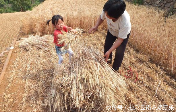 农村这现象很普遍，丰收的农民欢天喜地，最后一张图却容易被人骂