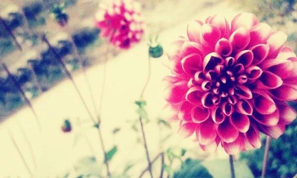 余生不长,怎么开心怎么过!