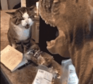 别嘲笑霸王龙的小短手,它能轻易撕碎你