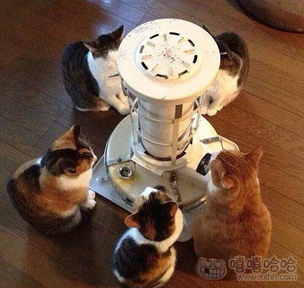 冬天,唯一的正经事就是烤脸 - 法宝<em>私房网</em>