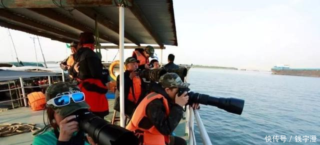 《中国日报》英文版谈绿会今春对白鱀豚给人