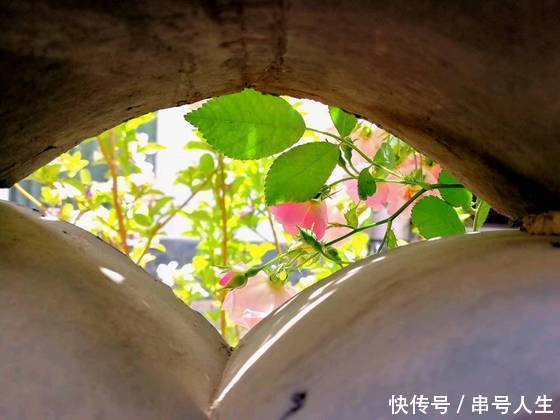 买情趣用品这是就是?情趣说内裤对他的侮辱ruhezuo贱货男友图片