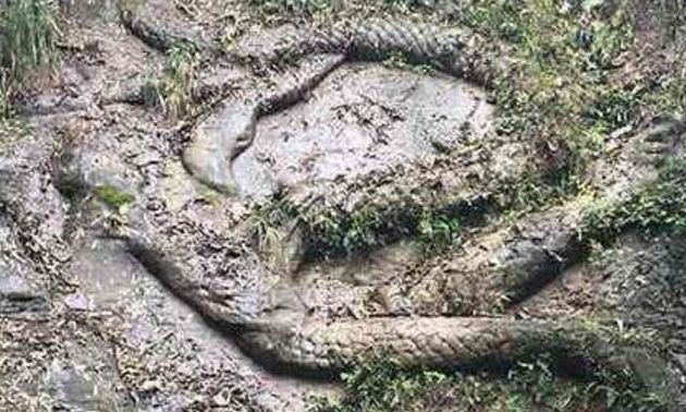 男子外出旅游，发现奇特的石头，走进看后眼前的画面让他傻了眼