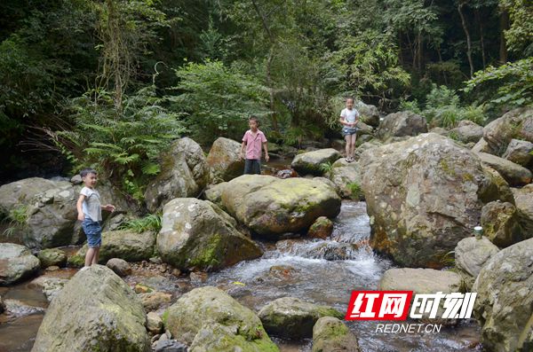 解暑奇美邵阳游·绥宁篇丨在曲幽谷，深林飞瀑和欢声笑语造就了最