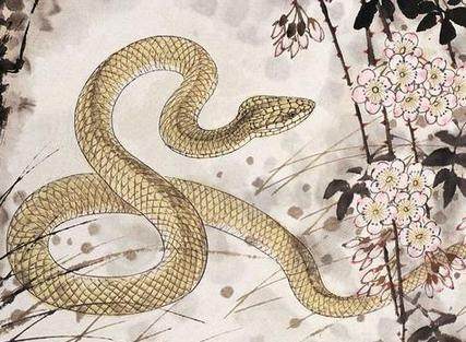 出生在这几天的属蛇人,天生好命,有你吗?