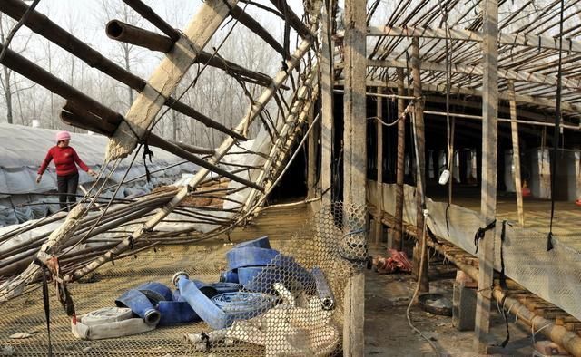 禁养区的养殖户看过来:拆迁补偿怎么算?法律和