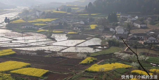 重庆人没出过重庆