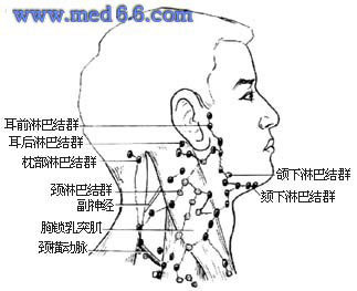 颈下淋巴结肿大