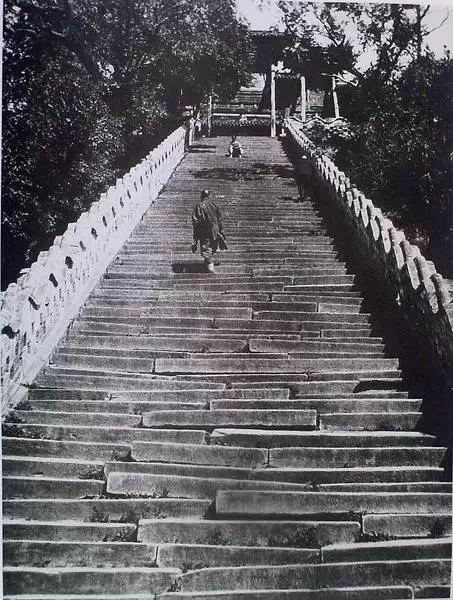 啥叫台阶 t012aa3729b35af0369.webp?size=453x600