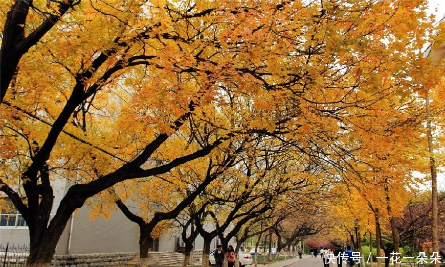 高考大省的师范大学,被封为考研神校!省内认