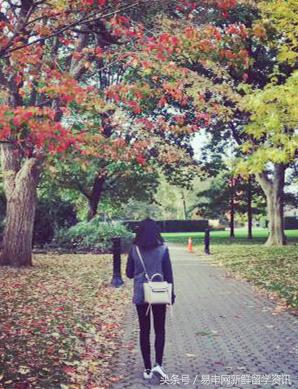 我都准备好去墨大,可offer却面临失效…