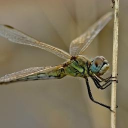 精彩绝伦的跆拳舞