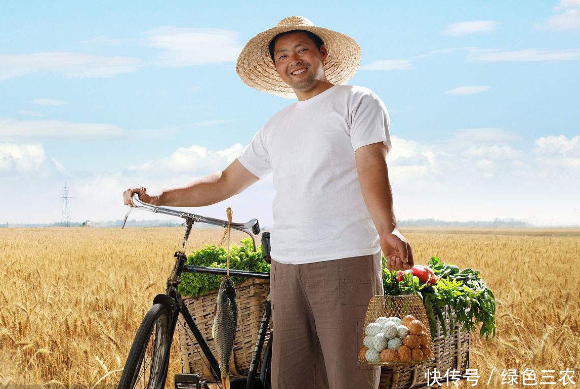 乡村振兴战略将改变什么,农民得到哪些切身福