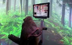 【假】猴子使用Neuralink脑机玩Apex