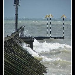 WWE野兽布洛克莱斯纳VS顶级掠食者兰迪奥顿