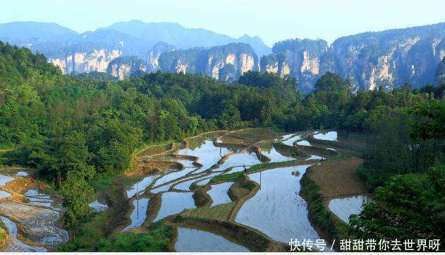 藏在悬崖峭壁的空中田园 终于找到了!