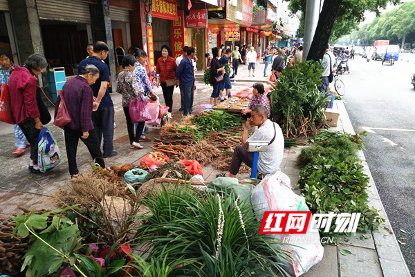 道县:端午时节\＂风药\＂香