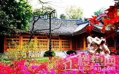 各国年轻人买房压力大PK ,你想去哪个国家?