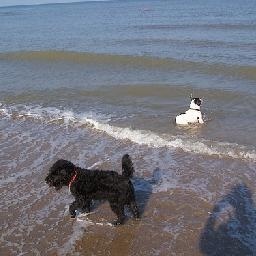 舌尖上的中国走红美国PW