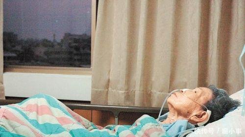 除了死不承认的日本,那些台湾二鬼子令人作呕