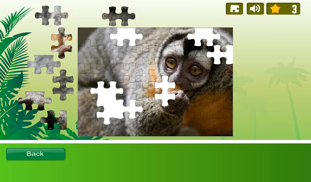 Rainforest Animals Puzzle截图8