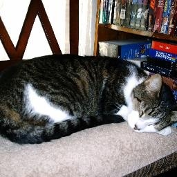 糖豆广场舞课堂《你是我今生难忘的梦》最新广