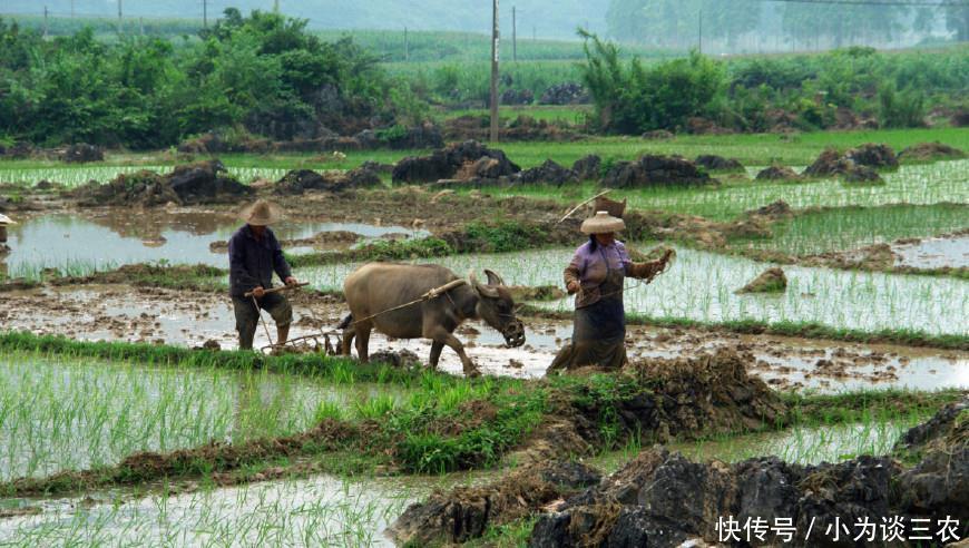 从今年,农村这类人成为唯一能退休农民,专家表示农民会支持!!