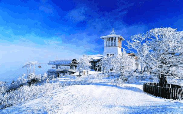 印度网友: 中国人生活水平和韩国差不多? 看看