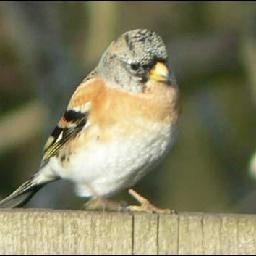 乙末豪客传奇谁说也不信他主题曲