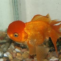 网红教师徐川带你认识不一样的马克思