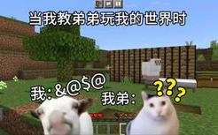 当 我 教 弟 弟 玩 我 的 世 界 时。