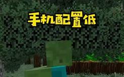 《bad op》
