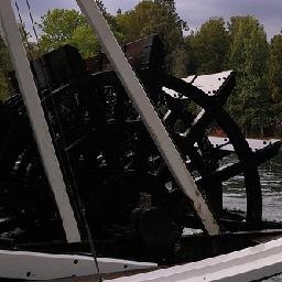 温州40岁女子勇夺美国健美比赛冠军