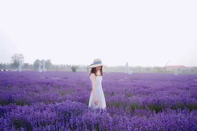 秦皇岛渔岛旅游攻略,秦皇岛渔岛美得一塌糊涂,让人一见倾心!