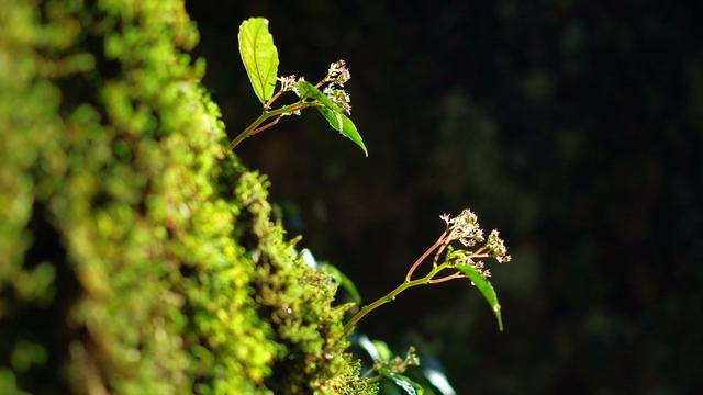 二审答辩状(离婚后财产纠纷案)