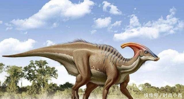 t01343ddd8f5d5461ae.jpg?size=640x347