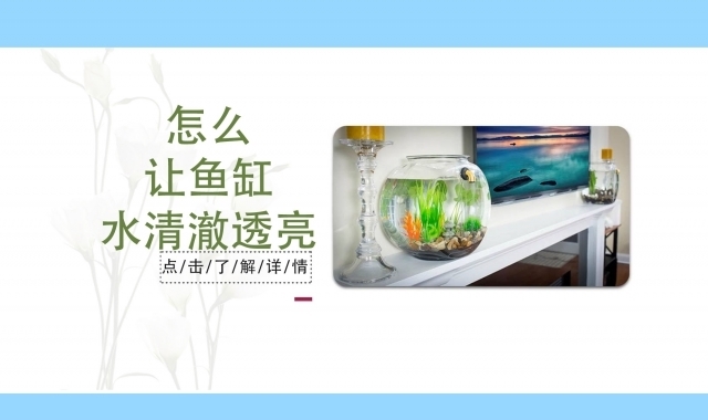 魚缸調水閥怎么使用（魚缸調水閥怎么使用視頻）