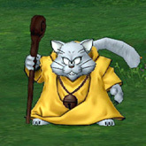 猫魔导士.jpg